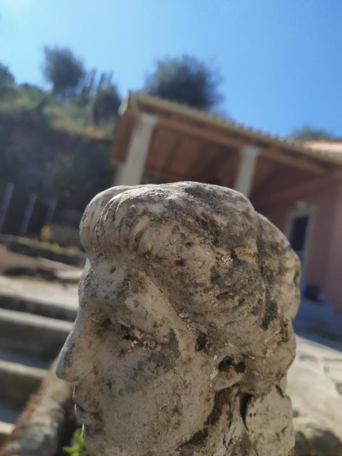 Nikos' Home Gastouri  Luaran gambar