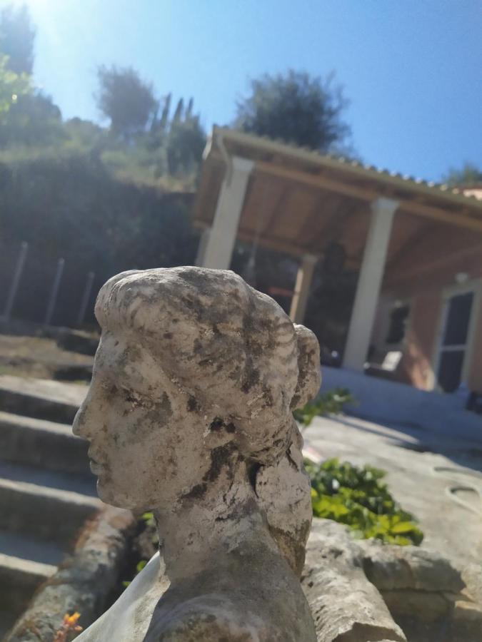 Nikos' Home Gastouri  Luaran gambar