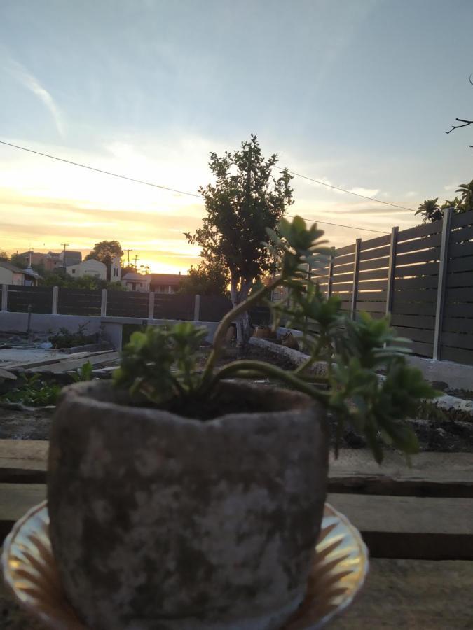 Nikos' Home Gastouri  Luaran gambar